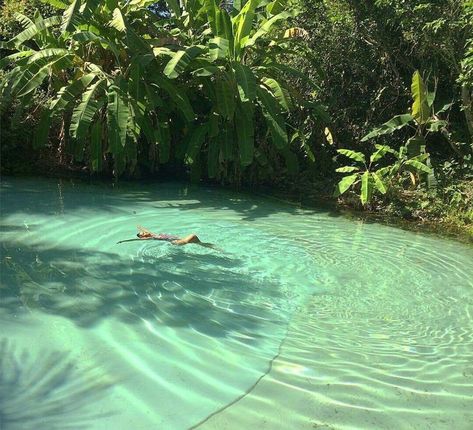 Swimming, Trees, Pool, Plants, Water, Green, Instagram