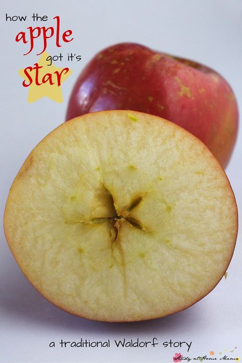 A twist on the traditional Waldorf Apple Story: a fairy story for children about how the apple got its star, which children can then discover for themselves Waldorf Education Homeschooling, Waldorf Lessons, Waldorf Books, Waldorf Preschool, Waldorf Curriculum, Waldorf Kindergarten, Waldorf Teaching, Apple Hat, Apple Lessons