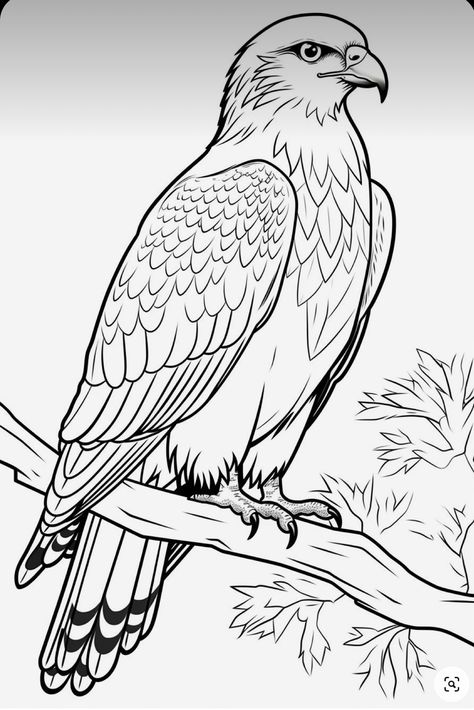 Eagle Drawing Easy, Eagle Sketch, Animal Line Drawings, Eagle Artwork, Eagle Drawing, Easy Animal Drawings, Pencil Drawings Of Animals, Eagle Art, Bird Coloring Pages