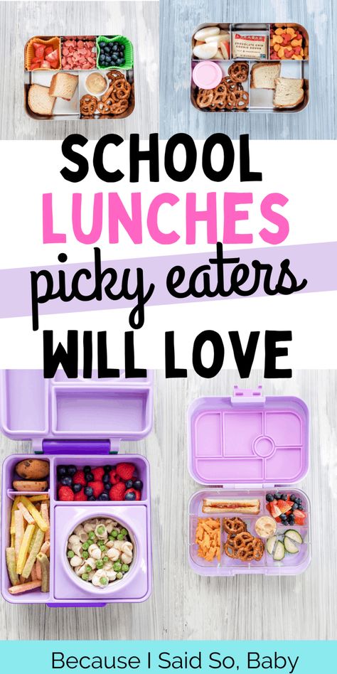 Sandwich For Picky Eater, Picky Kids School Lunch Ideas, Kindergarten Lunches For Picky Eaters, Packed Lunch For Picky Eaters, Bento Box Lunch Ideas For Picky Kids, Easy Picky Eater Lunches, Healthy Toddler School Lunch Ideas, Lunch Ideas For Picky Eaters School, Lunch Idea For Kindergarten