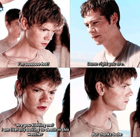 Maze Runner 1, Maze Runner Characters, Maze Runner Thomas, Maze Runner Trilogy, Maze Runner Funny, Maze Runner Cast, Newt Maze Runner, Maze Runner Movie, The Scorch