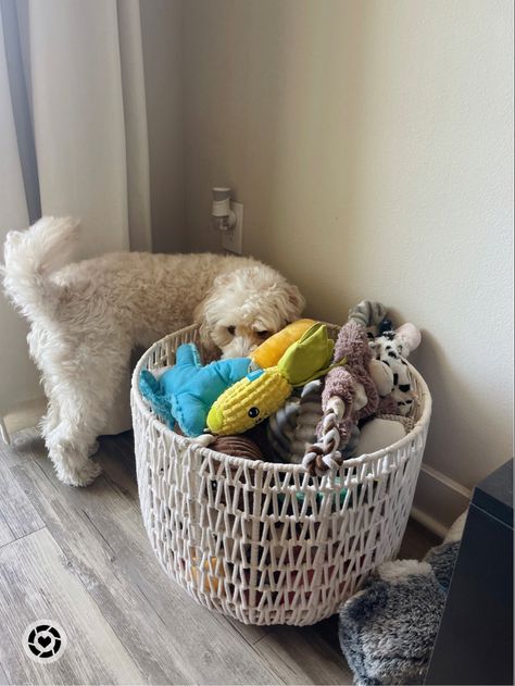 Dog Toy Storage Aesthetic, Modern Dog Toy Storage, Dog Toy Collection, Puppy Toy Basket, Pet Toy Basket, Dog Toy Bin Ideas, Dog Basket Gift, Dog Toy Basket Living Rooms, Dog Toy Organizer