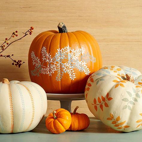 These simple, elegant pumpkins are extremely easy to make. Tape a stencil on a washed pumpkin, and gently paint the exposed area. Layer the stencil in different colors to get the looks shown here. Elegant Pumpkins, No Carve Pumpkin Decorating, Creative Pumpkins, Pumpkin Painting, Festival Diy, Ideas Halloween, Fall Decor Diy, Pumpkin Design, Painted Pumpkins