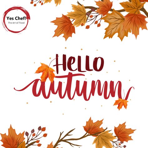 "A fallen leaf is nothing more than a summer's wave goodbye." Happy first day of Fall. #sayyestoyeschef #fullypreparedmealsv #happyfall #coldweather #mealprep #baltimore #byesummer Happy First Day Of Fall, First Day Of Fall, Wave Goodbye, Summer Waves, Nothing More, Happy Fall, First Day, Baltimore, Cold Weather