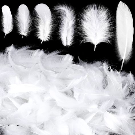 PRICES MAY VARY. Rich Quantity to Use and Share: you will receive 600 pieces of exquisite feathers for crafts in white colors and in 6 dimensions; Sufficient quantity and size may naturally meet your versatile decorating needs Soft and Gentle Material: these delicate white feather are made of goose feathers goose and turkey feathers, featuring safety and accessibility in use, fluffy, soft, gentle and comfortable to touch, without unpleasant odor Various Size to Choose: there are 6 dimensions of white feathers for centerpieces, each of which measures approx. 5 x 8 cm/ 1.97 x 3.15 inches, 6 x 12 cm/ 2.36 x 4.72 inches, 9 x 15 cm/ 3.54 x 5.91 inches, 10 x 15 cm/ 3.94 x 5.91 inches, 10 x 17 cm/ 3.94 x 6.69 inches, 15 x 20 cm/ 5.91 x 7.87 inches, offering you diversified choices Convenient Func Clay Bust, Diy Dreamcatcher, Turkey Feathers, Goose Feathers, White Feather, White Feathers, Party Festival, Carnival Party, White Colors