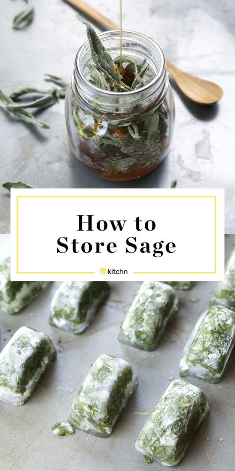 12 Creative Ways to Preserve Sage | Kitchn Storing Fresh Sage, Preserving Fresh Sage, How To Store Herbs, Sage Storage, Herb Preservation, Freezing Fresh Herbs, Preserve Fresh Herbs, Sage Recipes, Roasted Vegetable Pasta