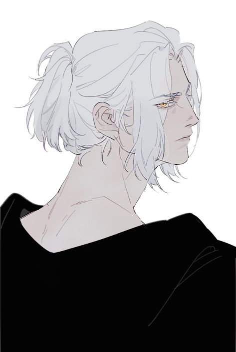 White Hair Men, Long White Hair, Character Design Male, Boy Art, How To Draw Hair, Character Creation, The Villain, Handsome Anime Guys, Handsome Anime