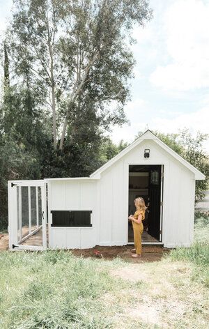 Chicken Coop With Lean To, Board And Batten Siding Chicken Coop, Osb Chicken Coop, Garden Shed With Chicken Coop, Chicken Coop Off Shed, Chicken Coop On Side Of Shed, Chicken Coop Attached To Shed, Chicken Coop Shed Combo, Convert Shed To Chicken Coop