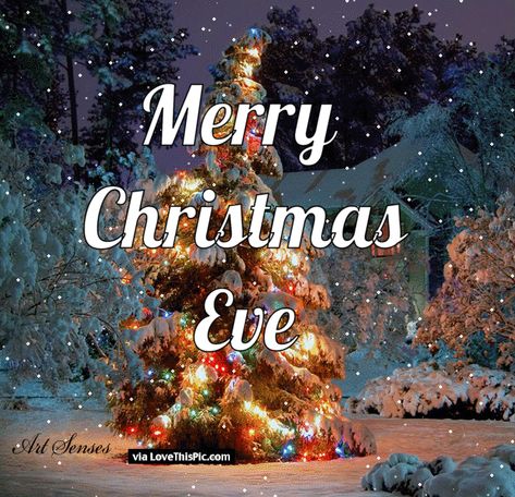 merry christmas eve images | Animated Merry Christmas Eve Gif Quote Pictures, Photos, and Images ... Christmas Eve Images, Christmas Eve Pictures, Merry Christmas Eve Quotes, Christmas Eve Quotes, Christmas Quotes For Friends, Bottle Flowers, Happy Christmas Eve, Its Christmas Eve, Merry Christmas Gif