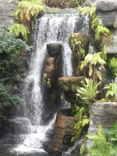 Water Falls Garden, Waterfall Landscaping, Pond Landscape, Rockery Garden, Pond Landscaping, Water Falls, Bungalow House, Rooftop Garden, Bungalow House Design