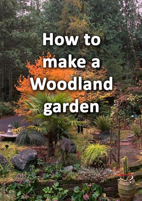 How to make a woodland garden