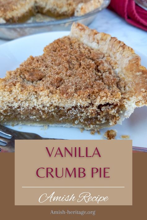 9" Vanilla pie with missing piece and a slice of pie on a plate. Vanilla Pie Filling Homemade, Amish Cream Pie, Sugar Cream Pie Recipe Indiana Amish, Amish Pie Recipes, Old Fashion Pies, Southern Pie Recipes, Winning Pie Recipes, Old Fashioned Pies, Vanilla Pie Recipe