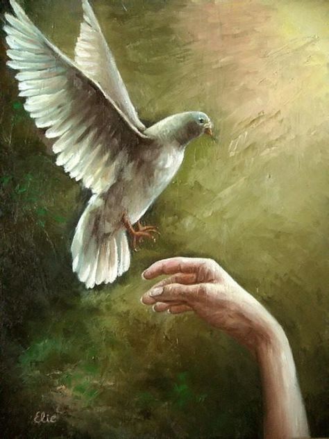 Dove Painting, Dove Pictures, Anointing Oil, Birds In The Sky, Rennaissance Art, Religious Paintings, Christian Artwork, Religious Painting, Pictures Of Jesus Christ