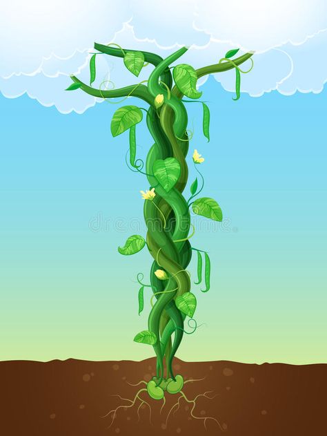 The beanstalk. Vector illustration of a bean stalk on the fairy tale Jack and th #Sponsored , #Sponsored, #Affiliate, #Vector, #bean, #tale, #illustration Growth Illustration, Bean Stalk, Naruto Sketch Drawing, Flora Design, Naruto Sketch, Jack And The Beanstalk, Plant Illustration, The Fairy, Cellphone Wallpaper