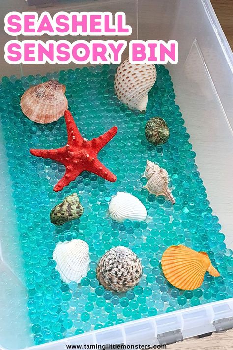 Easy Seashell Sensory Bin for Kids.    This is a fun sensory activity for kids to play with this Summer.    #summer #sensory #preschool #kindergarten Seashell Sensory Bin, Summer Sensory Bin Preschool, Beach Lesson Plans Preschool, Toddler Experiments, Sensory Bins For Kindergarten, Sensory Kindergarten, Summer Sensory Activities, Beach Sensory Bin, Summer Sensory Bin