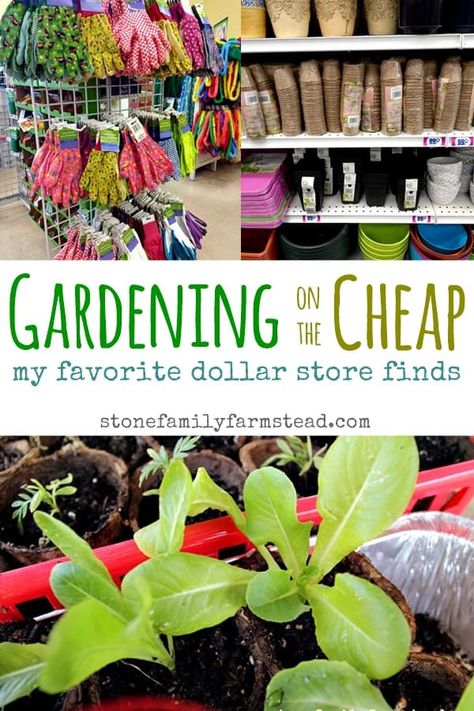 Gardening on the Cheap: My Favorite Dollar Store Finds - Stone Family Farmstead Garden Hack Ideas, Vegetable Garden Raised Beds, Cheap Backyard, Garden Ideas Cheap, School Garden, Wildflower Garden, Seasonal Garden, Dollar Store Diy, Gardening For Beginners