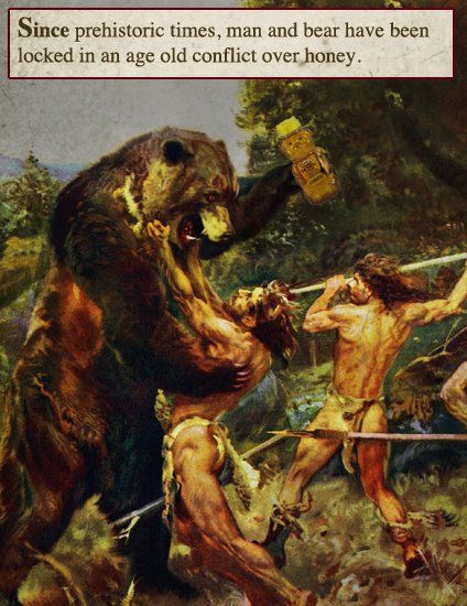 Bwuaha! Prehistoric Man, Bear Hunt, Cave Bear, Science Humor, Elementary Science, Golden Child, Science Facts, Science Education, Science Art