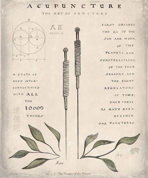 Chinese Medicine Tattoo, Acupuncturist Aesthetic, 5 Elements Chinese Medicine, Acupuncture Logo Design, Acupuncture Office Design, Acupuncture Benefits Facts, Acupuncture Photography, Apothecary Altar, Acupuncture Aesthetic