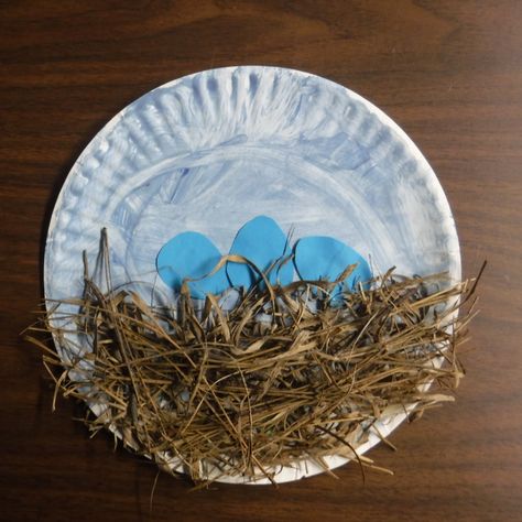 Baby Bird Nest Craft, Bird Nest Craft Preschool Art Projects, Migration Crafts Preschool, Bird Nest Craft Preschool, Bird Nest Crafts, Preschool Birds, Birds Preschool, March Projects, Nest Craft