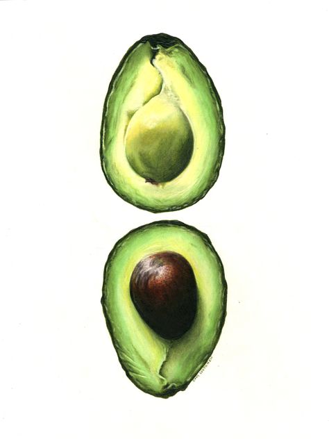 Fruit References, Avocado Painting, Avocado Art, Realistic Cartoons, Fruits Drawing, Petite Tattoos, Food Illustration Art, Esoteric Art, Pottery Painting Designs