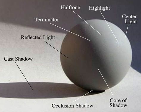 sphere value Reflection Artists, Painting Fundamentals, Specular Reflection, Art Exercises, James Gurney, Diffuse Reflection, Computer Drawing, Shadow Drawing, Art Theory