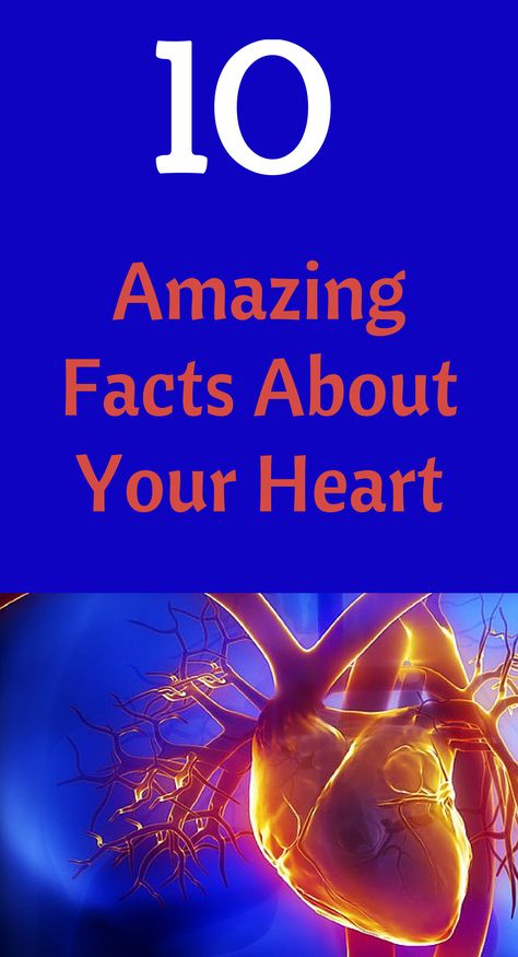 Amazing Facts About Your Heart: 7. Your activity level is the greatest potential risk factor for heart disease. Heart Facts, Heart Health Awareness, Heart Health Month, American Heart Month, Heart Month, Good Health Tips, Medical Problems, Amazing Facts, Health And Fitness Tips