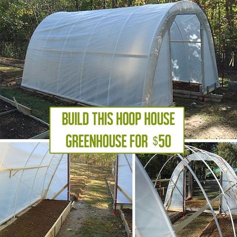 this greenhouse idea would come in handy even in a smaller version for AZ climate. Shade is very important. Hoop House Greenhouse, Hoop Greenhouse, House Greenhouse, Diy Garden Landscaping, Hoop House, Greenhouse Supplies, Plant Watering System, Diy Greenhouse Plans, Build A Greenhouse