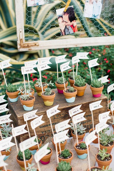 Best Wedding Websites, Plant Wedding Favors, Wedding Plants, Succulent Wedding Favors, Summer Wedding Decorations, Eco Wedding, Sustainable Wedding, Wedding Favors Cheap, Eco Friendly Wedding