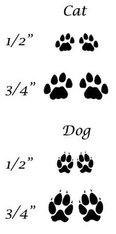 Cat Print Tattoo, Kurt Tattoo, Cat Paw Print Tattoo, Cat Paw Tattoos, Cat And Dog Tattoo, Pet Memorial Tattoo, Dog Paw Prints, Pawprint Tattoo, Dog Paw Tattoo