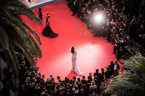 Red Carpet Aesthetic, Cannes Film Festival 2015, Cannes Red Carpet, Life Vision Board, Sean Penn, Idris Elba, Tilda Swinton, Anthony Hopkins, Samana