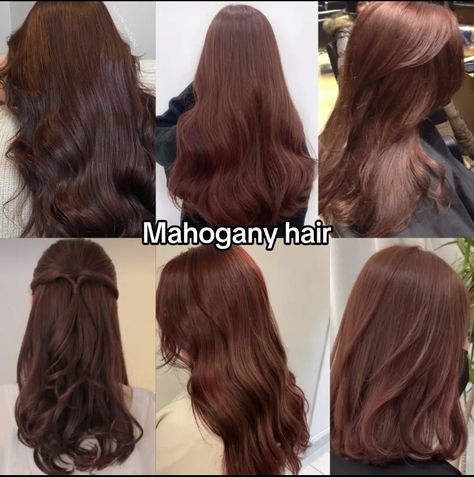 Bottom Layer Highlights, Best Hair Colors For Tan Skin, Hair Colors For Warm Undertones, チョコレートブラウン ヘアカラー, Brown With Red Undertones, Natural Hair Color Ideas, Mahogany Hair Color, Mahogany Hair, Hair Color Mahogany