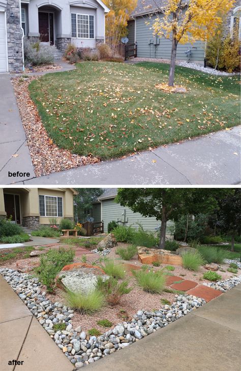 Creating Curb Appeal, Front Yard Landscape Design, Xeriscape Front Yard, Xeriscape Landscaping, Front Yards Curb Appeal, Front Yard Landscape, Colorado Landscape, Yard Landscape, Front Yard Design