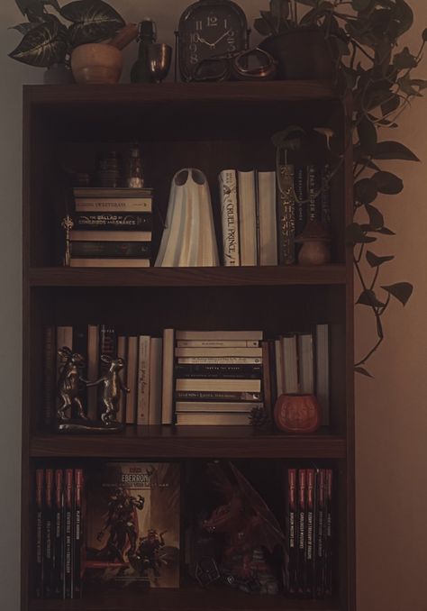 Brown Book Shelf Aesthetic, Dark Academia Room Bookshelf, Bookshelf Dark Aesthetic, Old Bookshelves Aesthetic, Dark Academia Bookshelf Bedroom, Bookshelf Styling Dark Academia, Dark Wood Book Shelf, Dark Wood Bookshelf Styling, Book Shelf Aesthetic Dark