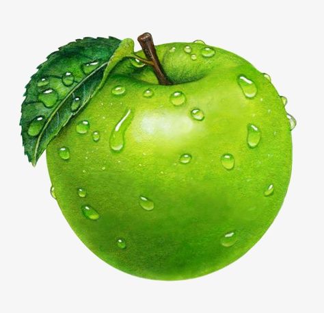 Green Instagram, Fruit Labels, Food Clipart, Fruits Images, Apple White, Still Life Photos, Fruit Illustration, Green Fruit, Fruit Painting