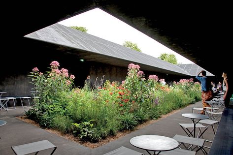 Serpentine Gallery Pavilion, Architecture Courtyard, Peter Zumthor, Casa Patio, Zaha Hadid Architects, Landscape Architecture Design, Green Architecture, Patio Interior, Urban Oasis