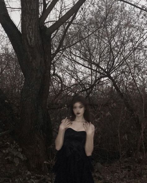 Cottagecore Photoshoot, Fairy Photoshoot, Gothic Photography, Y2k Profile Picture, Romantic Goth, Southern Gothic, Dark Fairy, Winter Photo, Gothic Aesthetic