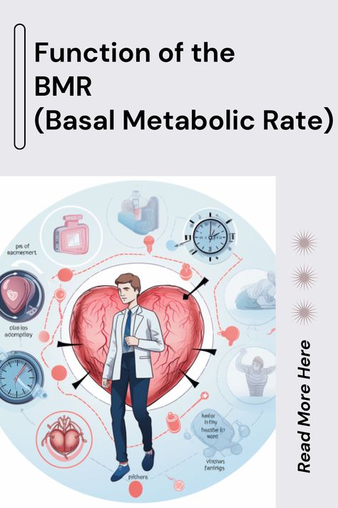 Here is about BMR Function. What is the primary function of the Basal Metabolic Rate? What is the role of BMR in maintaining a healthy lifestyle? Respiratory Rate, Basal Metabolic Rate, Body Temperature, A Healthy Lifestyle, Respiratory, Healthy Choices, Healthy Lifestyle, Crown, Diet