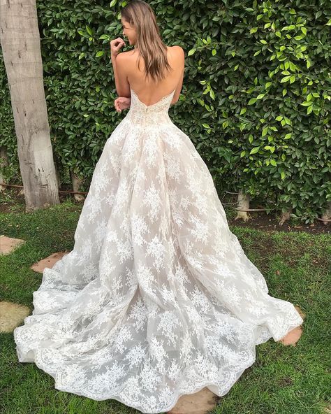 Monique Lhuillier Bride “Effortless 💫 #moniquelhuillier #mlbride #alexandra” Wedding Rehearsal Dress, Monique Lhuillier Wedding Dress, Monique Lhuillier Bridal, Big Wedding Dresses, Wedding Dresses Lace Ballgown, Dream Wedding Ideas Dresses, January 27, Wedding Dress Trends, Monique Lhuillier