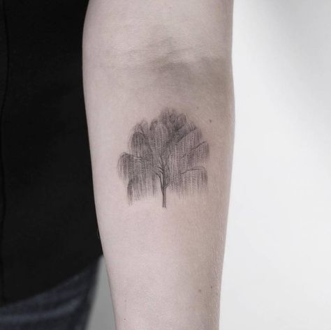 Weeping Willow Tree Tattoo, Weeping Willow Tattoo, Willow Tattoo, Willow Tree Tattoo, Willow Tree Tattoos, Tattoo Tree, Tree Tattoo Small, Weeping Willow Tree, Tree Tattoo Designs