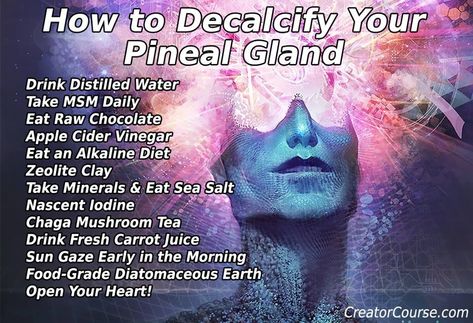 So they have been saying distilled water is poisonous for you because they don't want you to decalcify the pineal gland? Decalcify Pineal Gland, Diatomaceous Earth Food Grade, Pineal Gland, The Third Eye, Chakra Meditation, Mind Body Soul, Spiritual Healing, Chakra Healing, Health Remedies