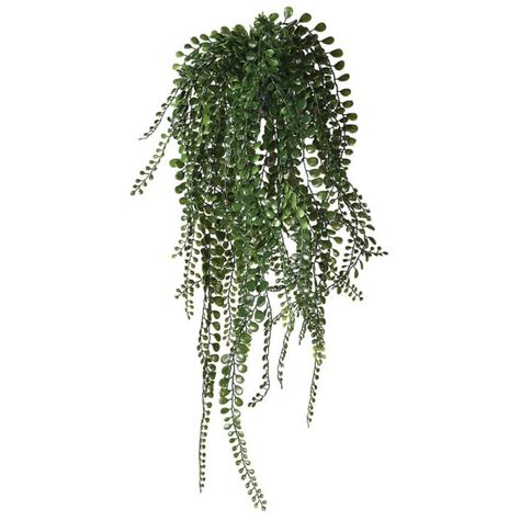 Our Pea Leaf Hanging Plant is a beautiful, dark green trailing botanical perfect for a bathroom or kitchen shelf. 70cm x 70cm - Pot size 8cm x 8cm Standard Delivery £5.95 Potted Olive Tree, Pea Plant, Living Room Art Prints, Trendy Bar, Leaf Plant, Trailing Plants, Hanging Plant, Green Wall Art, Hanging Pots