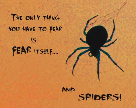 Halloween quote about fear and spiders. Spider Quotes Inspirational, Spider Quotes, Horror Quotes, Halloween Crafts Preschool, Fear Quotes, About Halloween, Nothing To Fear, Halloween Quotes, Rock Painting Designs