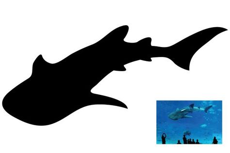 Designs by crealogo88 - silhouette drawing of a whale shark Whale Shark Pumpkin Carving, Whale Shark Silhouette, Shark Sillouhette, Shark Reference, Shark Stencil, Shark Nails, Zoo Drawing, Whale Shark Tattoo, Whale Silhouette