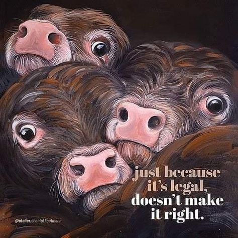 Animal Rights Quotes, Vegan Memes, Animal Activist, Animal Liberation, Vegan Inspiration, Stop Animal Cruelty, Save Animals, Zoology, Animal Welfare