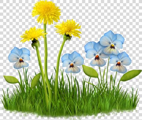 Spring Animation, Wallpaper Daisy, Rose Gold Aesthetic, Ball Aesthetic, Clip Art Png, Computer Animation, Summer Plants, Gold Aesthetic, Meadow Flowers