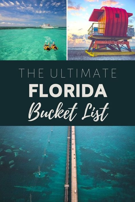 Florida Bucket List, Things To Do In Florida, Florida Activities, Florida Travel Destinations, Fun Trips, Florida Travel Guide, Florida Adventures, Florida Life, Florida Springs