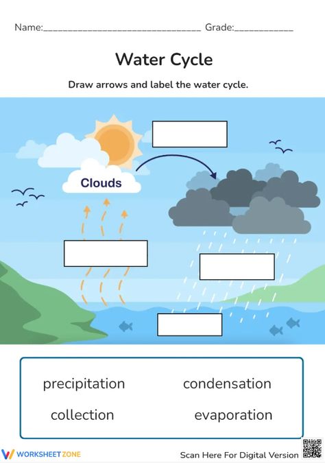 Add more arrow to show the water cycle progress and label for it. Do not hesitate to try on our water cycle worksheet. It is promising to be perfect for you! #watercycle #science #worksheets #interactive #printables #water #environment #livingthings Water Worksheet, Water Cycle Worksheet, Cycle Drawing, Water Environment, The Water Cycle, Water Cycle, Science Worksheets, Grade 4, Printable Labels