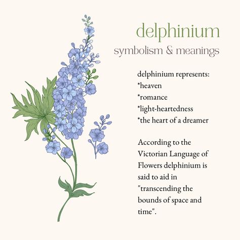 delphinium meanings and symbolism Delphinium Flower Meaning, Larkspur Flower Meaning, Larkspur Flower Arrangements, Flowers Names And Meaning, Larkspur Meaning, Delfinium Flower Tattoo, Plants With Meaning, Larkspur Flower Aesthetic, Flower Tattoos And Meanings