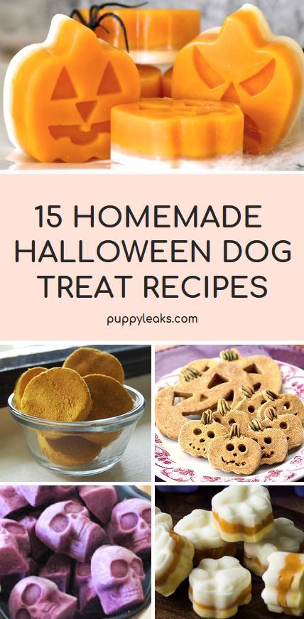 15 Homemade Halloween Dog Treat Recipes. Looking for an easy way to celebrate Halloween with your dog? Check out these 15 Halloween inspired dog treat recipes. Halloween Dog Treats, Homemade Dog Cookies, Pet Treats Recipes, Postres Halloween, Easy Dog Treat Recipes, Dog Biscuit Recipes, Easy Dog Treats, Healthy Dog Treats Homemade, Dog Treats Homemade Recipes