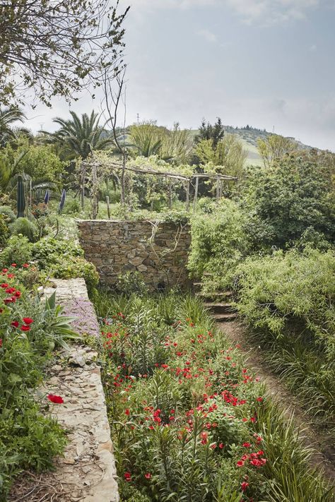 Umberto Pasti, El Greco Paintings, Greek Garden, Stone Walls Garden, Garden Uk, Hillside Garden, Mediterranean Garden, Wall Garden, Spanish Artists